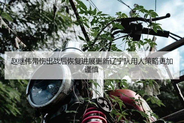赵继伟带伤出战后恢复进展更新辽宁队用人策略更加谨慎