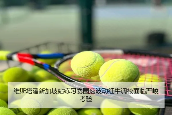 维斯塔潘新加坡站练习赛圈速波动红牛调校面临严峻考验